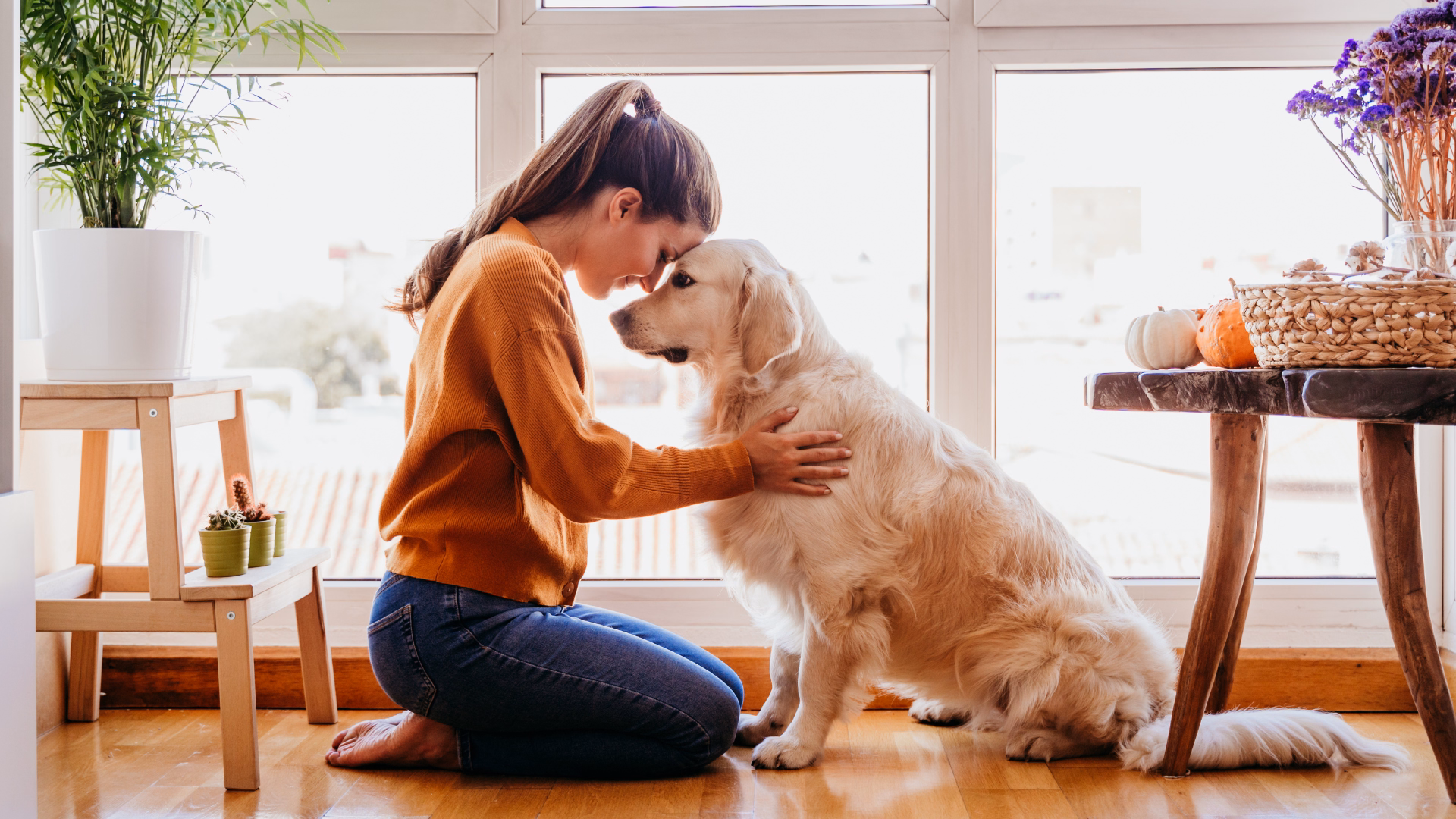 Renovations Warranty & Trust